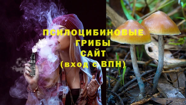 прущие крисы Абдулино