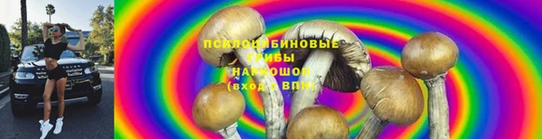 круглые Алексеевка