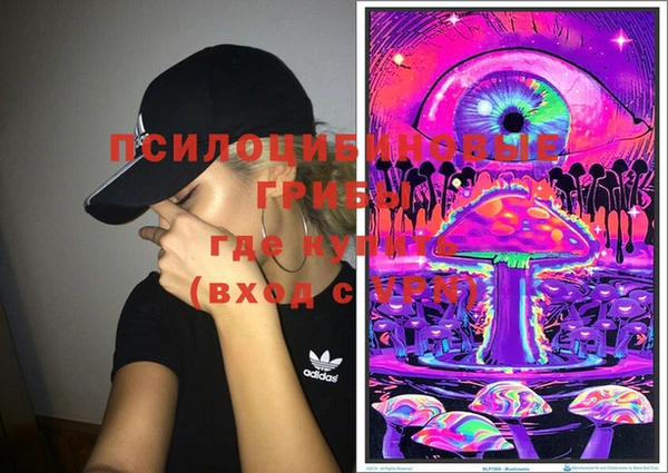 МДПВ Алзамай