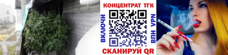 закладка  Тогучин  ТГК Wax 