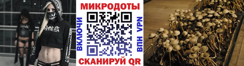 Галлюциногенные грибы мухоморы Тогучин