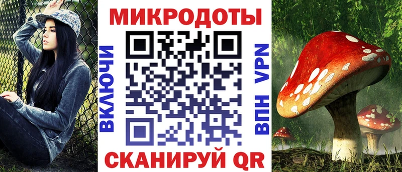 Галлюциногенные грибы Cubensis  Тогучин 